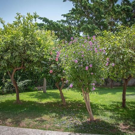 Piso Con Jardin Daire Málaga Dış mekan fotoğraf