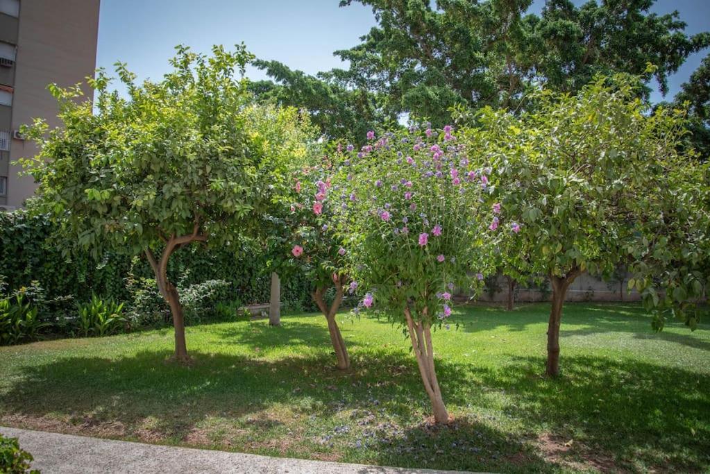Piso Con Jardin Daire Málaga Dış mekan fotoğraf